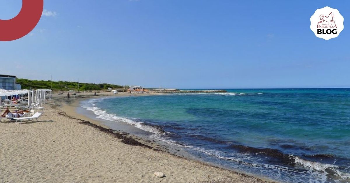 blog copertina spiaggie mar adriatico