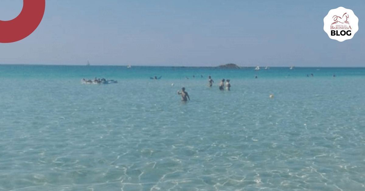 porto cesareo blog salento puglia Tenuta la Baronessa