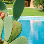 hotel with pools Gallipoli